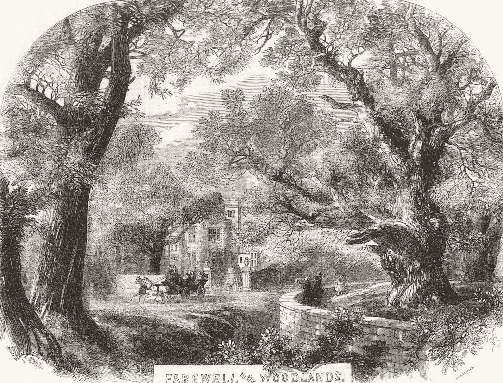 BOTANICAL. Farewell to the Woodlands 1856 old antique vintage print picture